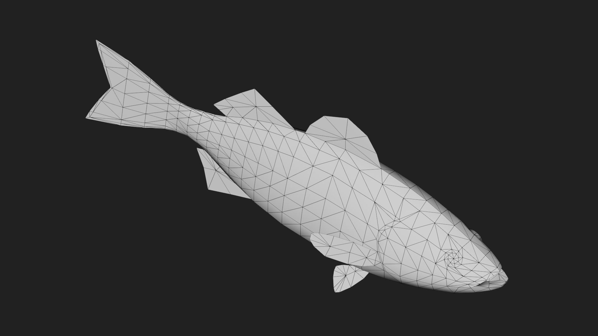 Stripedbass Low-poly 3D model_5