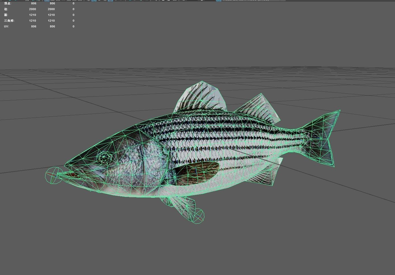 Stripedbass Low-poly 3D model_6