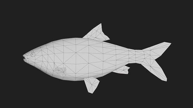 Roach Low-poly 3D model 2