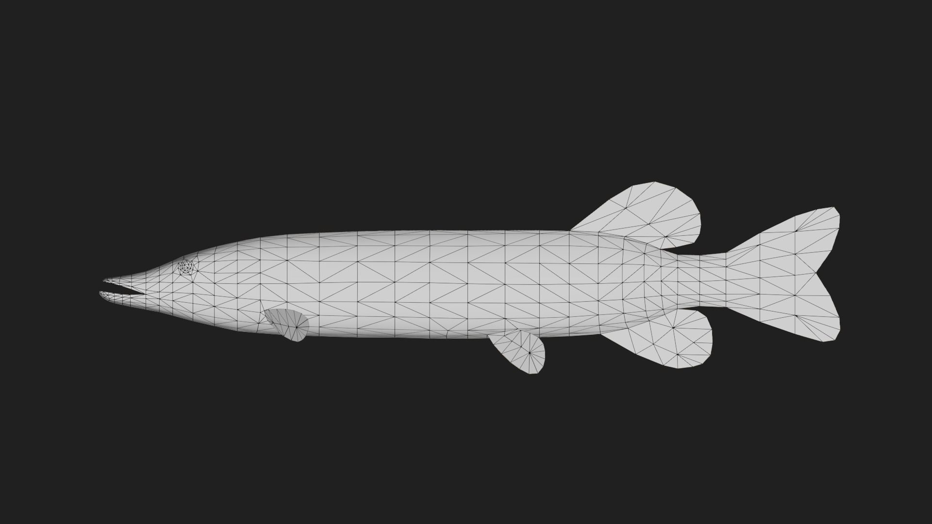 Pike fish Low-poly 3D model_1