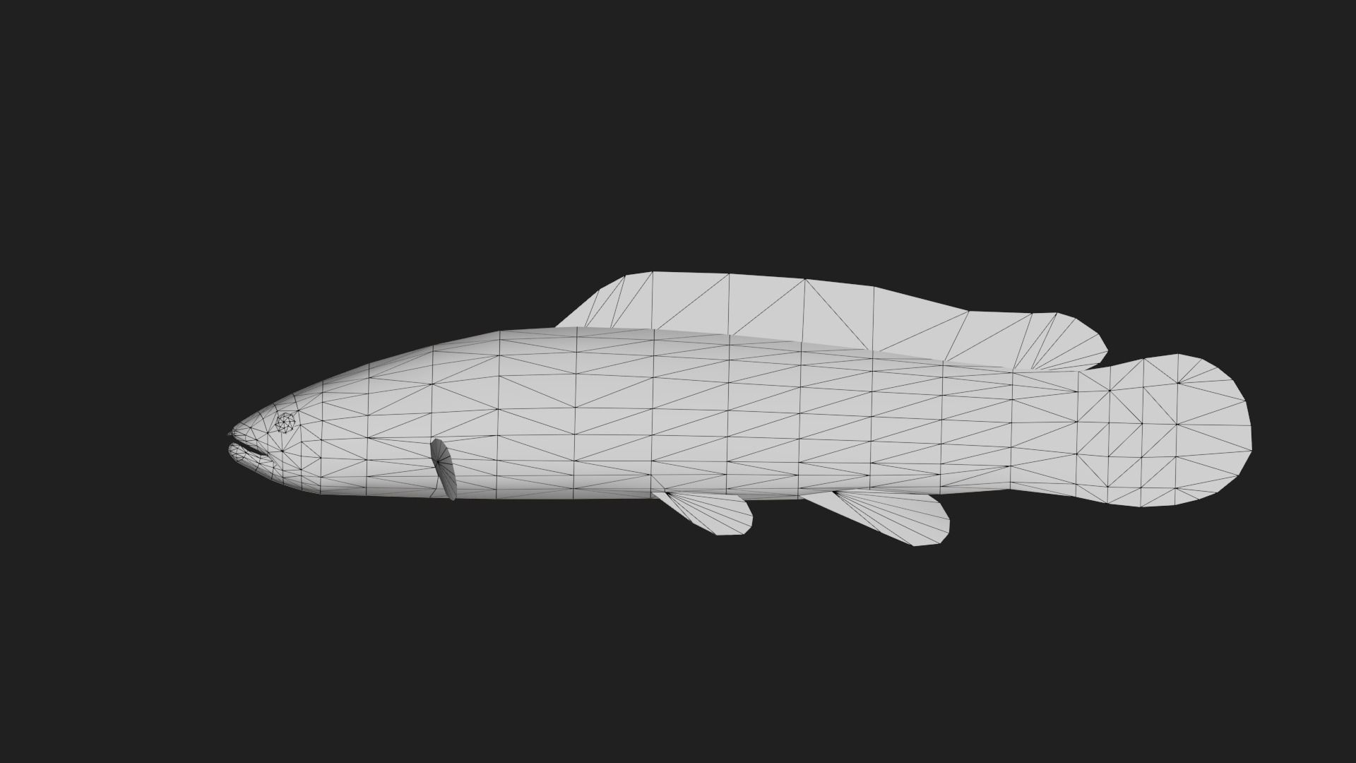 Bowfin Low-poly 3D model_1