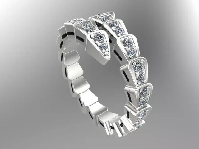 rings 3D print model_0