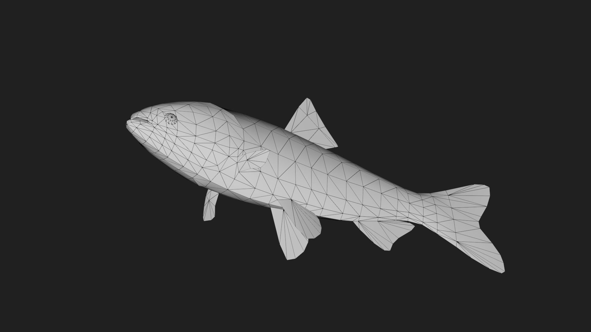 Carpfish Low-poly 3D model_5