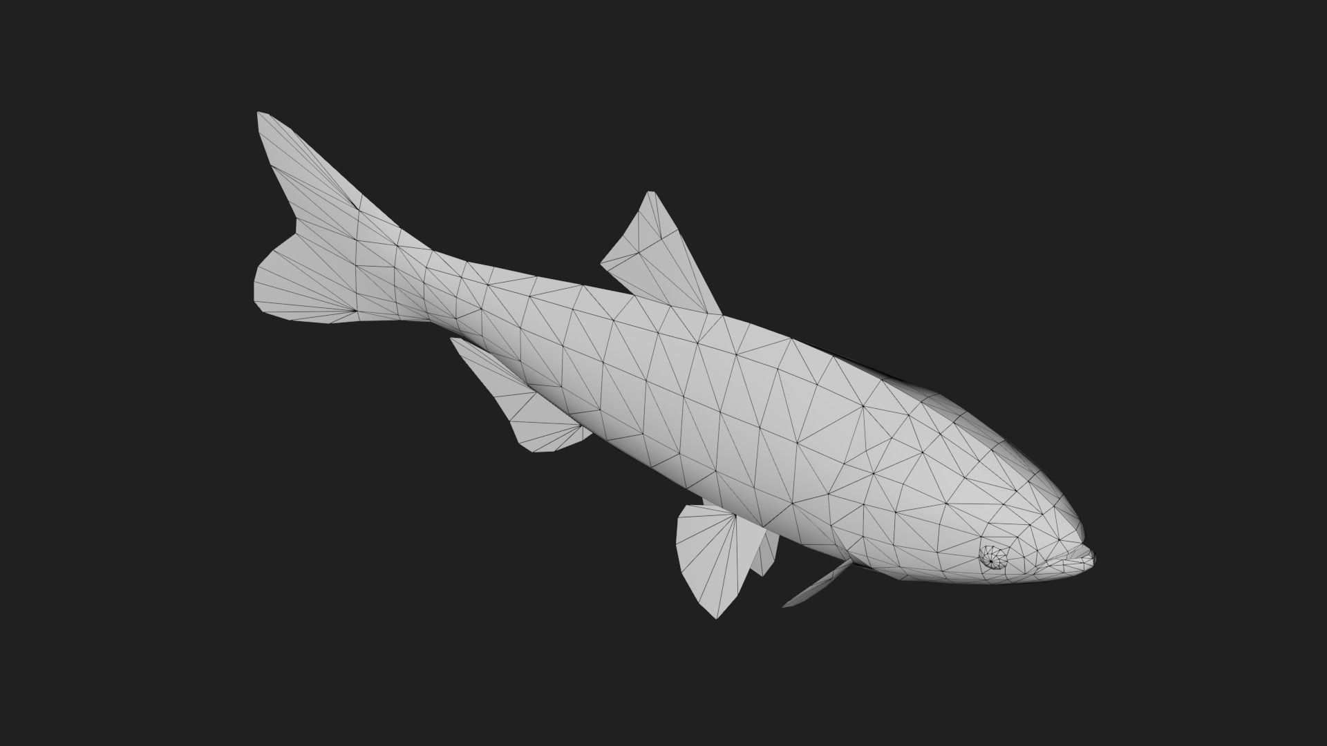 Carpfish Low-poly 3D model_3