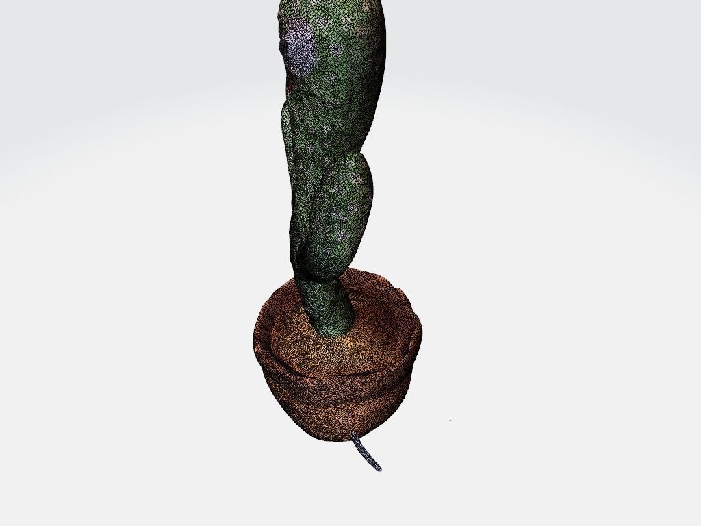 Wild Cactus Toy - Scanned 3D model_9