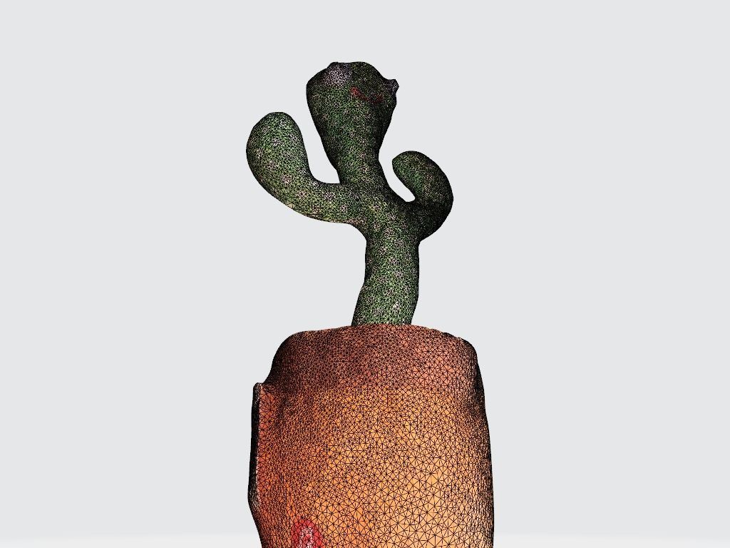 Wild Cactus Toy - Scanned 3D model_8