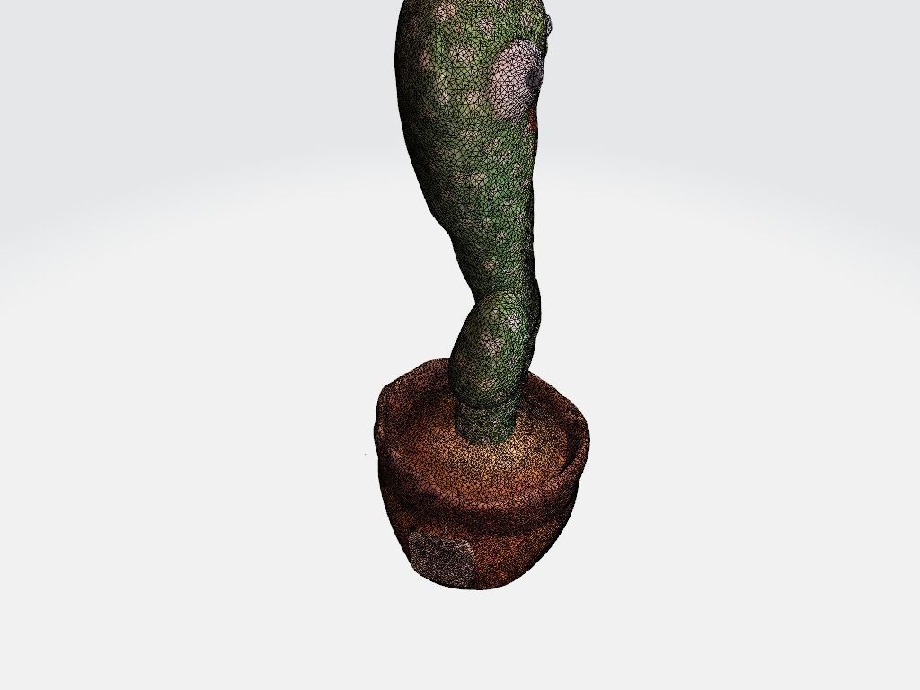 Wild Cactus Toy - Scanned 3D model_10