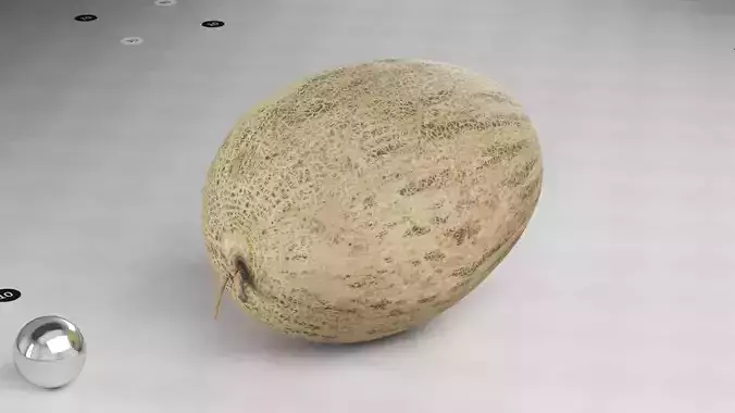 Sweet Melon - Photogrammetry Scan