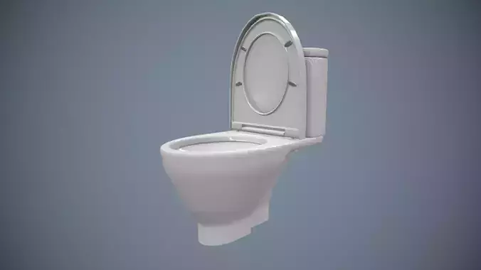Toilet Bowl Low Poly