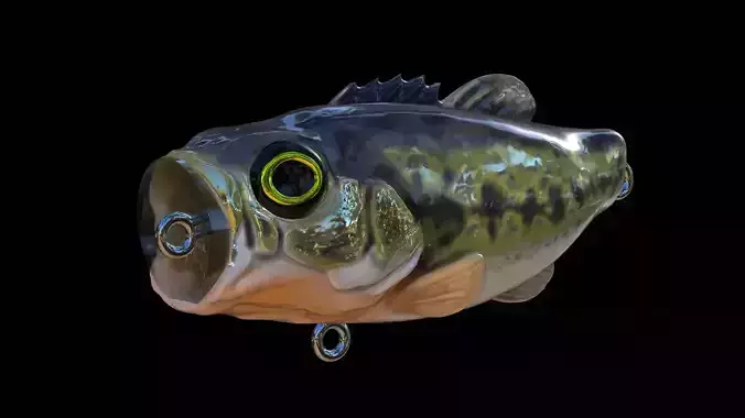 Popper lure bass fish 