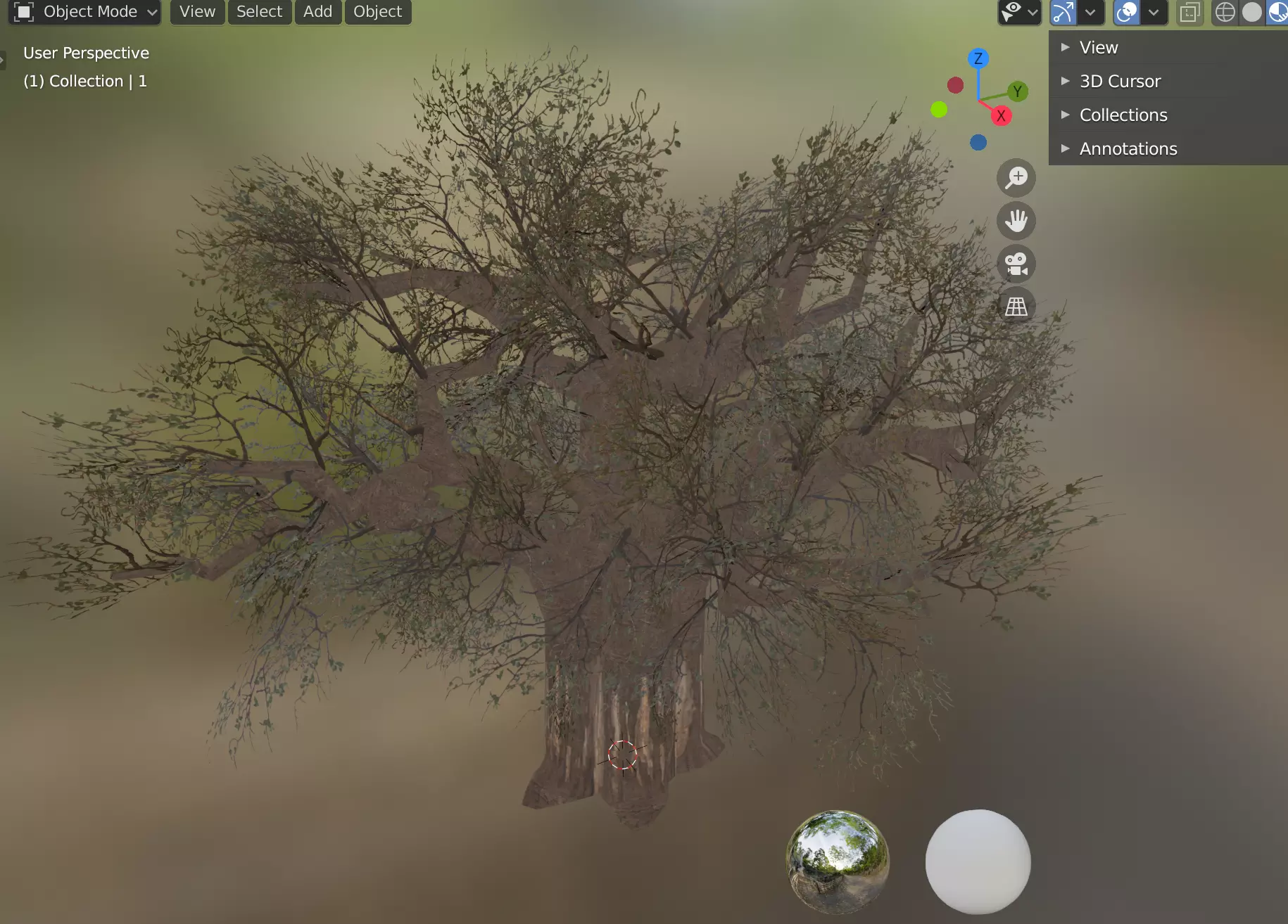 baobab tree Low-poly 3D model_0