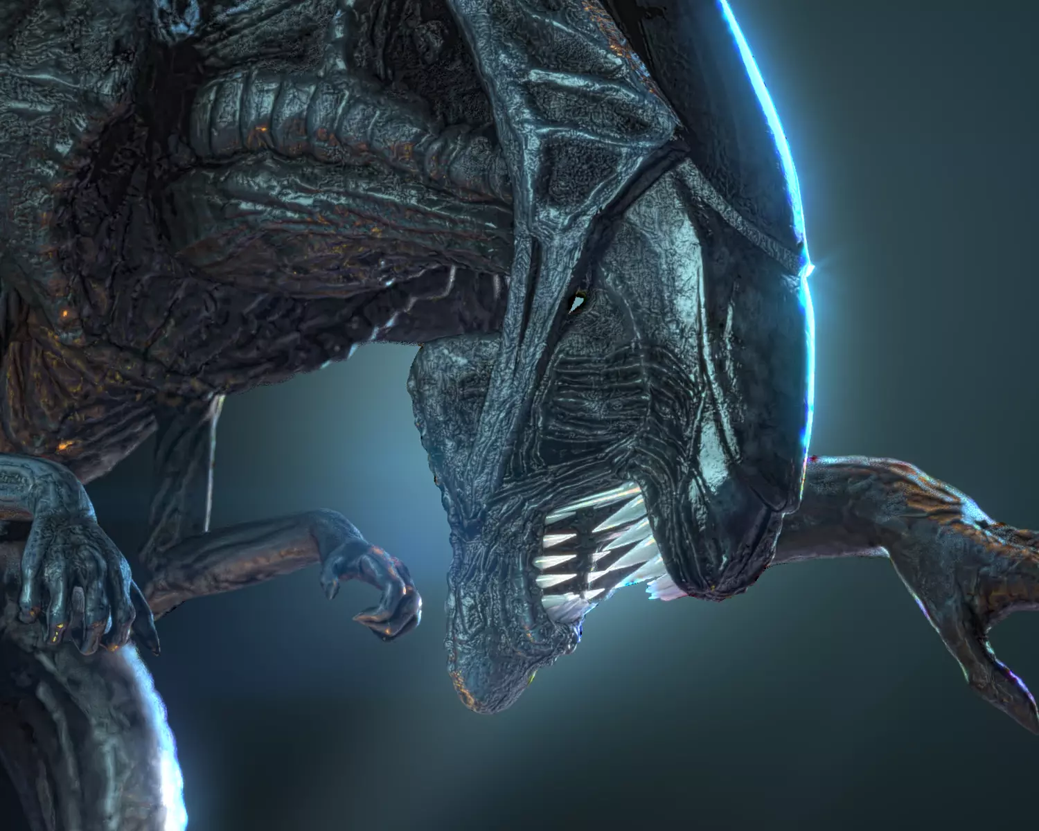 Alien Queen 3D model_0