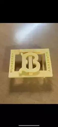 Burberry belt buckle