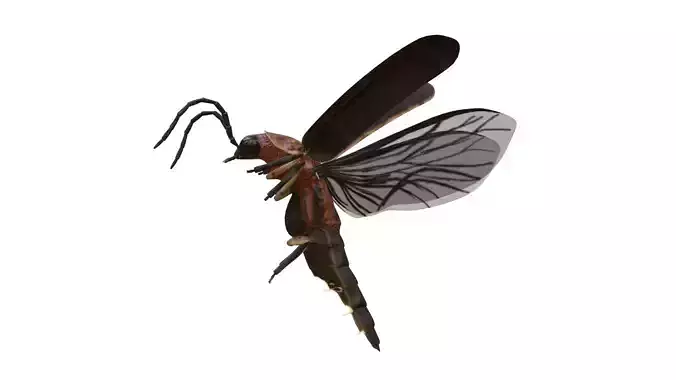 Realistic Firefly Insect - Rigged - Animated Low-poly 3D model