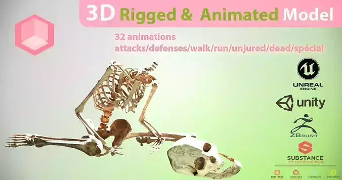 skeleton 3D model