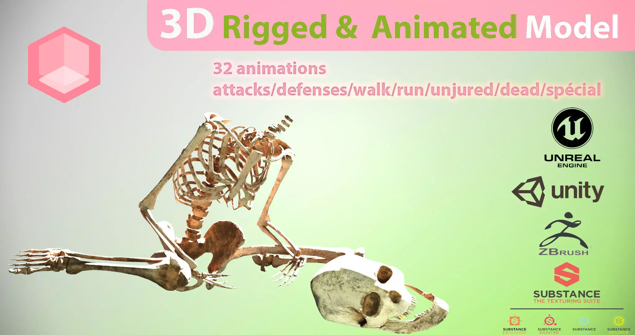 skeleton 3D model_0