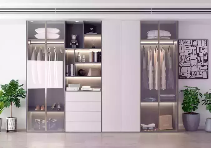 Cabinets monomer decoration Modern wardrobe