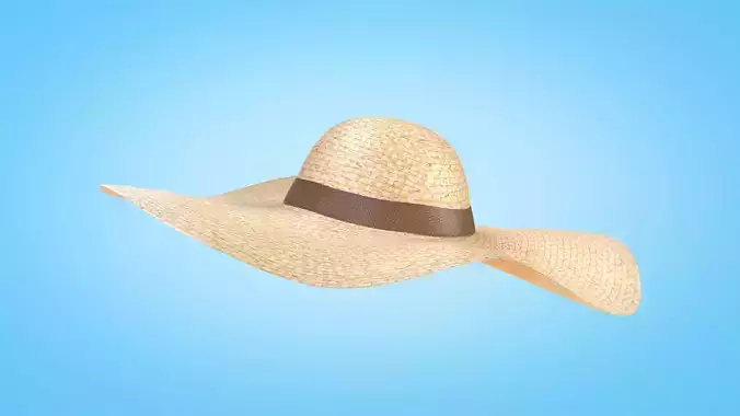 Straw Sun Hat