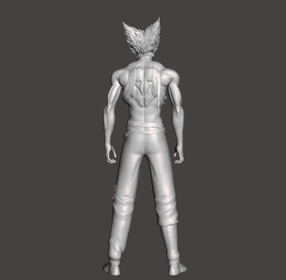 Garou 3D Model 3D print model_1