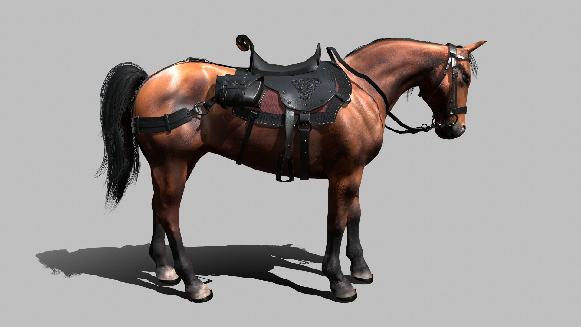 War Horse Low-poly 3D model_10