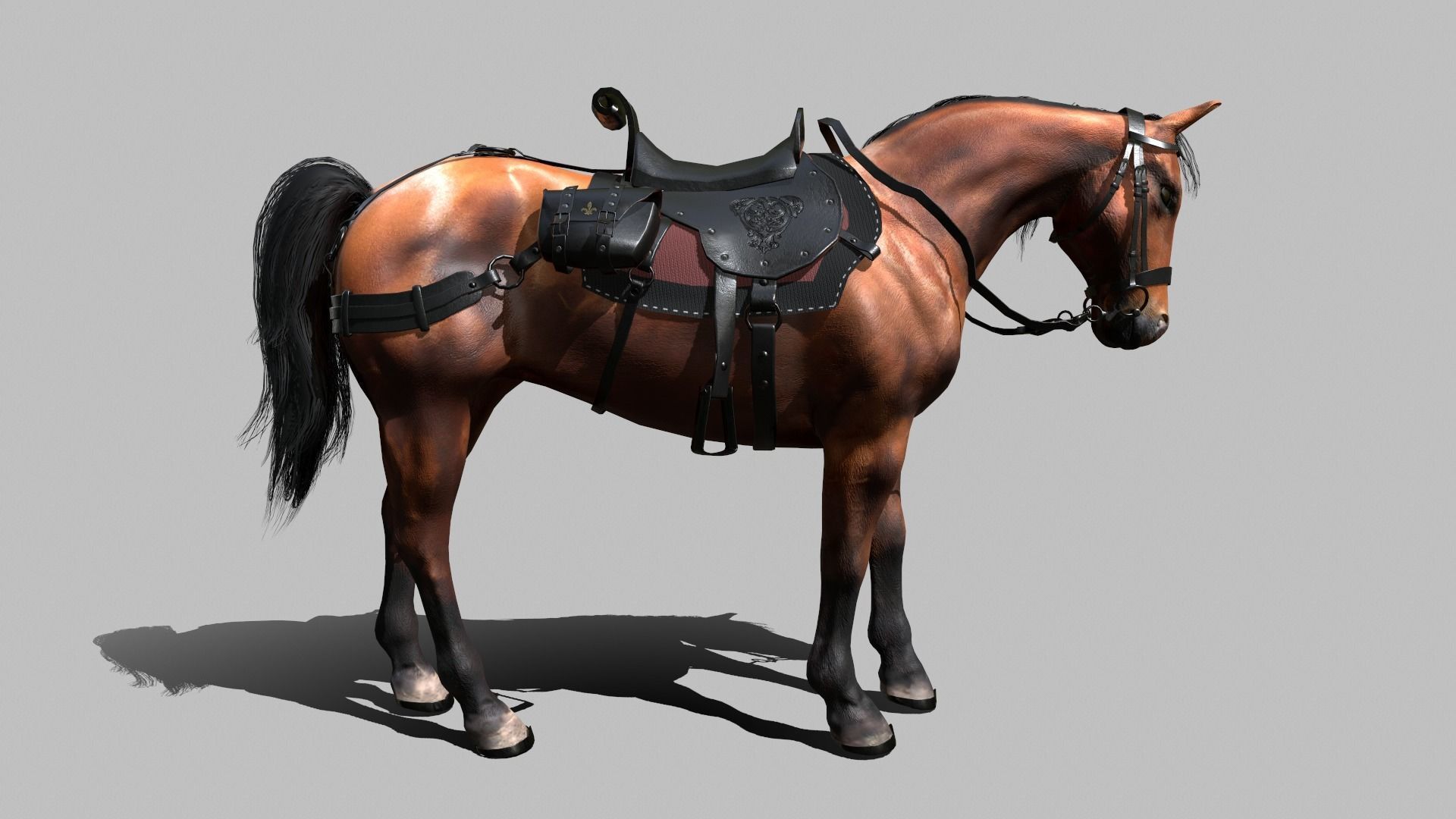 War Horse Low-poly 3D model_12