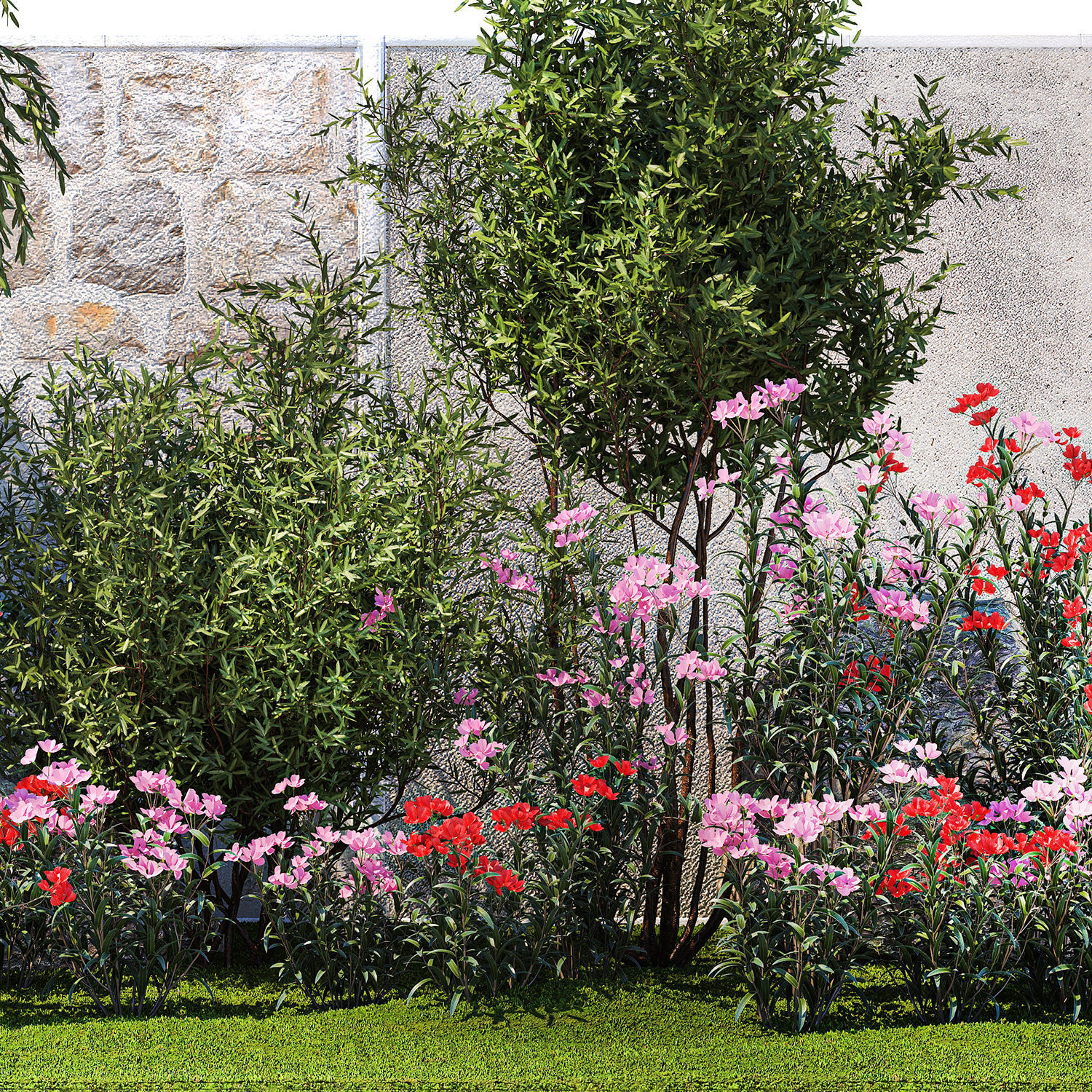 Beautiful garden with Olive Elaeagnus Oleander flowers 1371 3D model_13