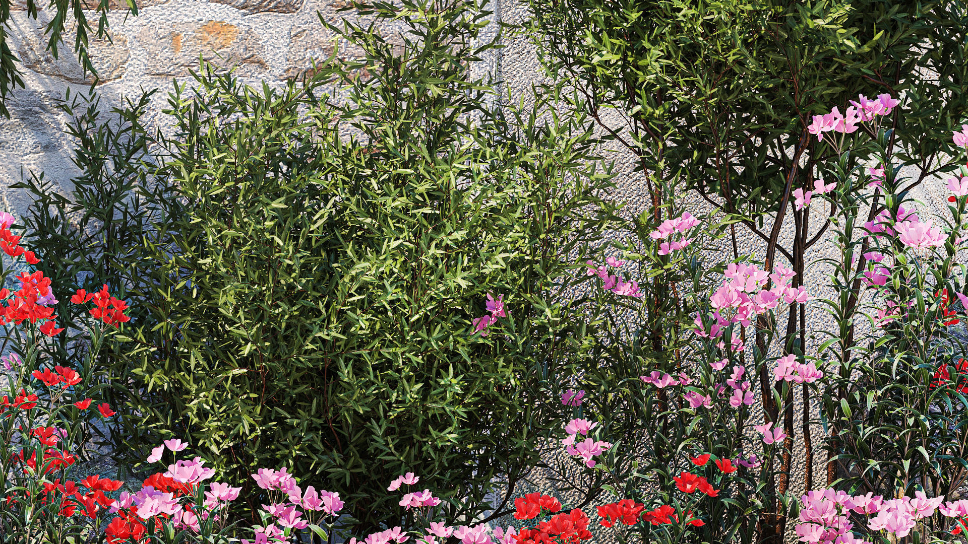 Beautiful garden with Olive Elaeagnus Oleander flowers 1371 3D model_5