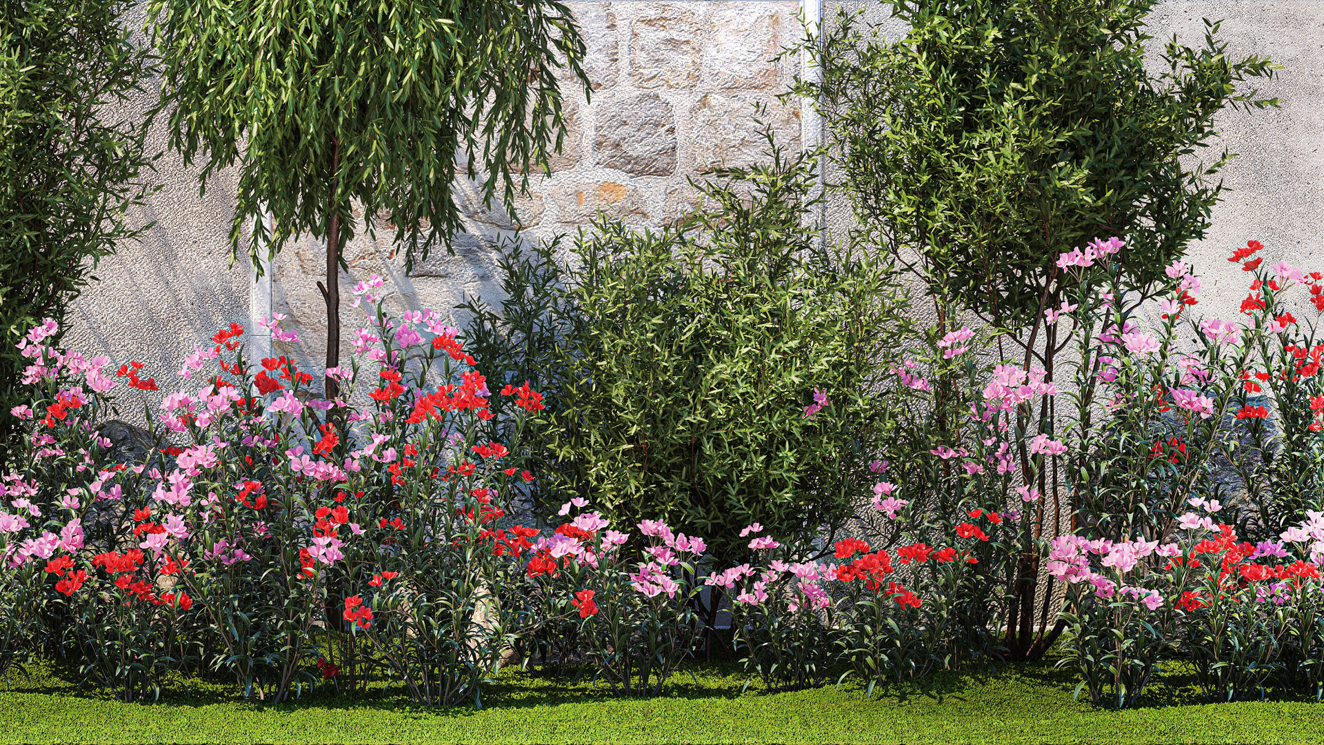 Beautiful garden with Olive Elaeagnus Oleander flowers 1371 3D model_3