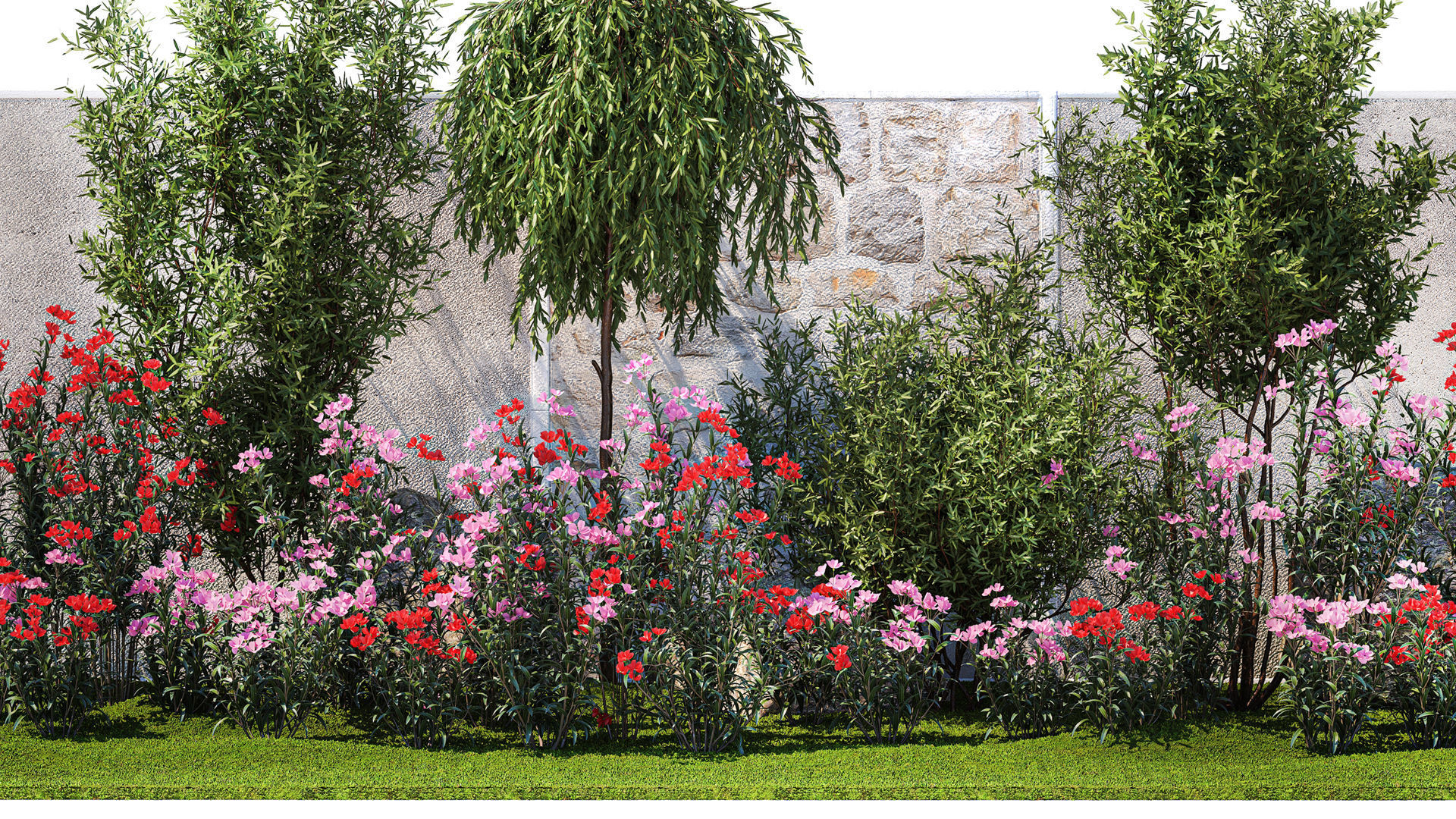 Beautiful garden with Olive Elaeagnus Oleander flowers 1371 3D model_2