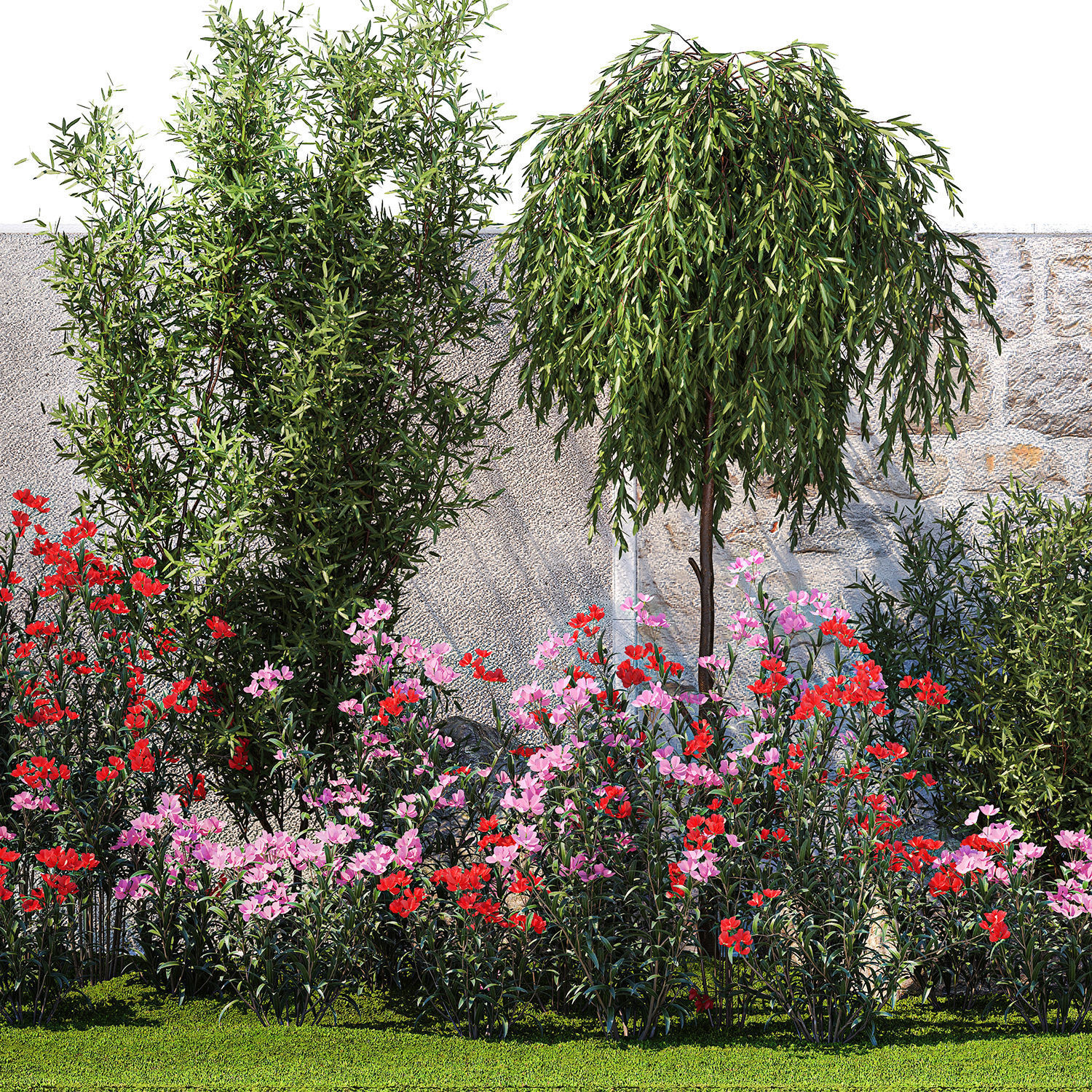 Beautiful garden with Olive Elaeagnus Oleander flowers 1371 3D model_12