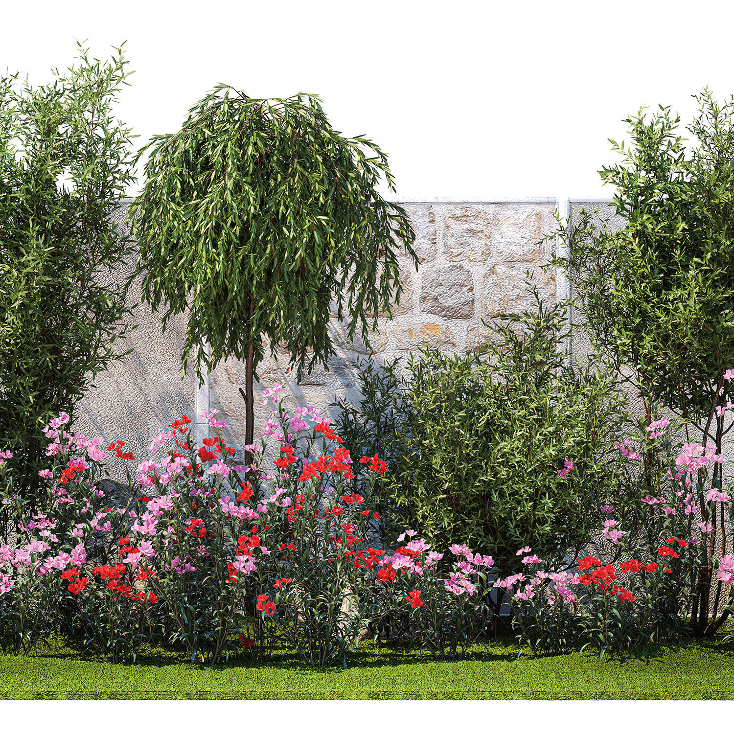 Beautiful garden with Olive Elaeagnus Oleander flowers 1371 3D model_10