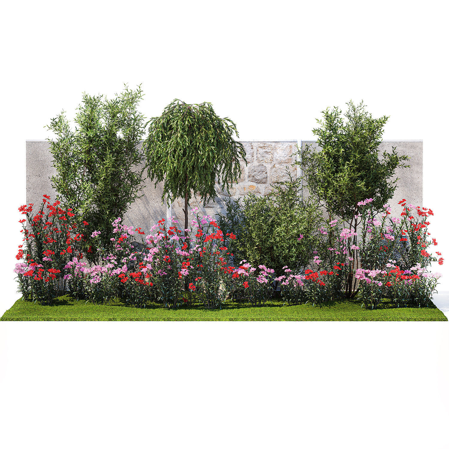 Beautiful garden with Olive Elaeagnus Oleander flowers 1371 3D model_8