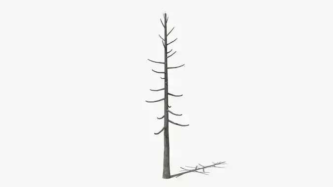 Lowpoly Dead Pine v1 Low-poly 3D model