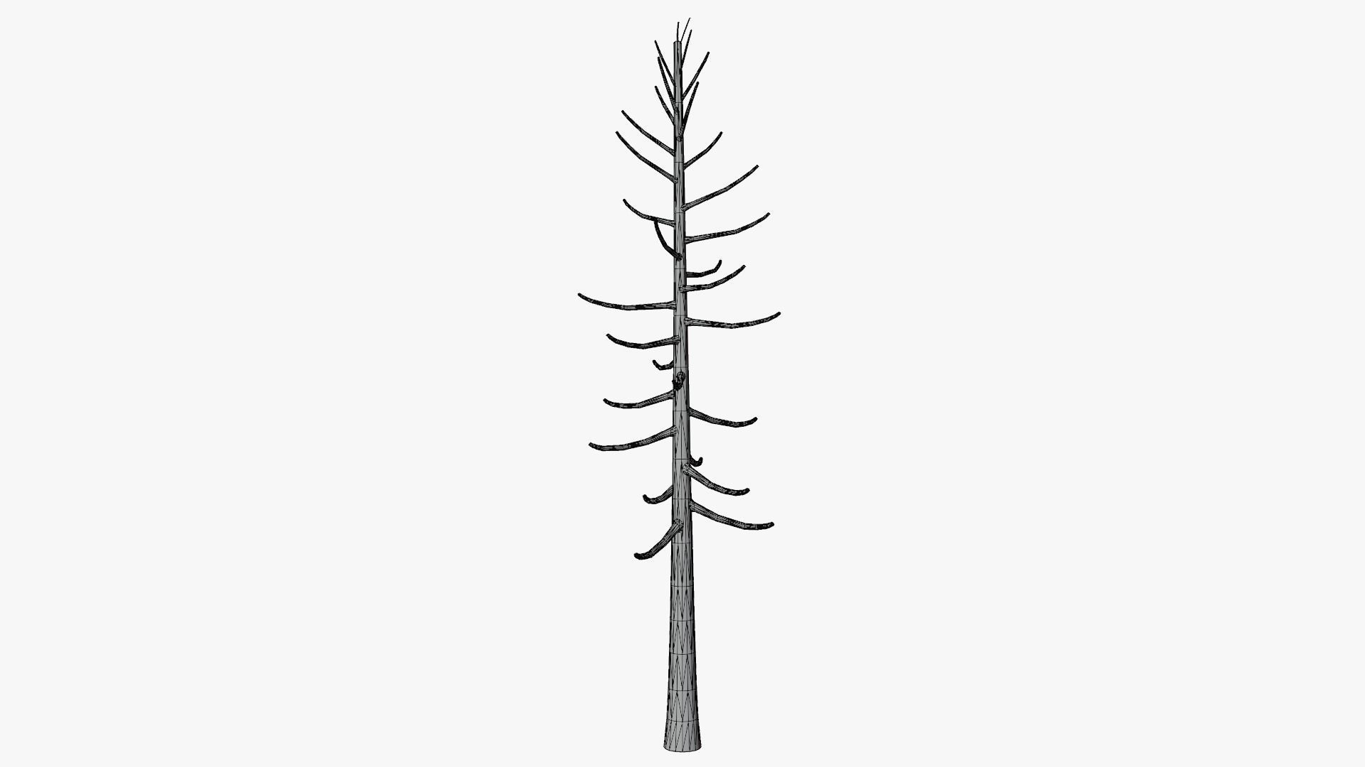 Lowpoly Dead Pine v2 Low-poly 3D model_6