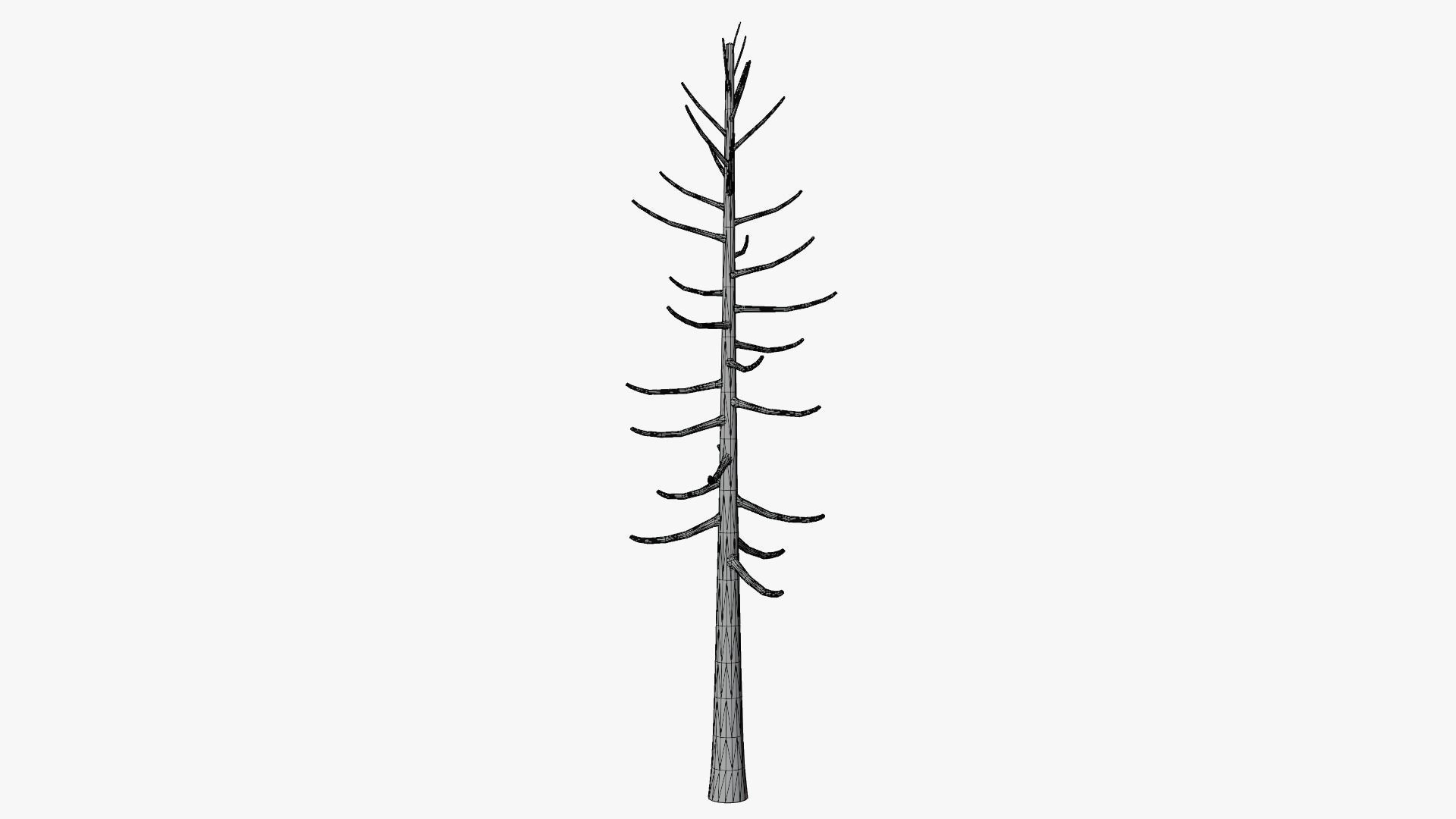 Lowpoly Dead Pine v2 Low-poly 3D model_7