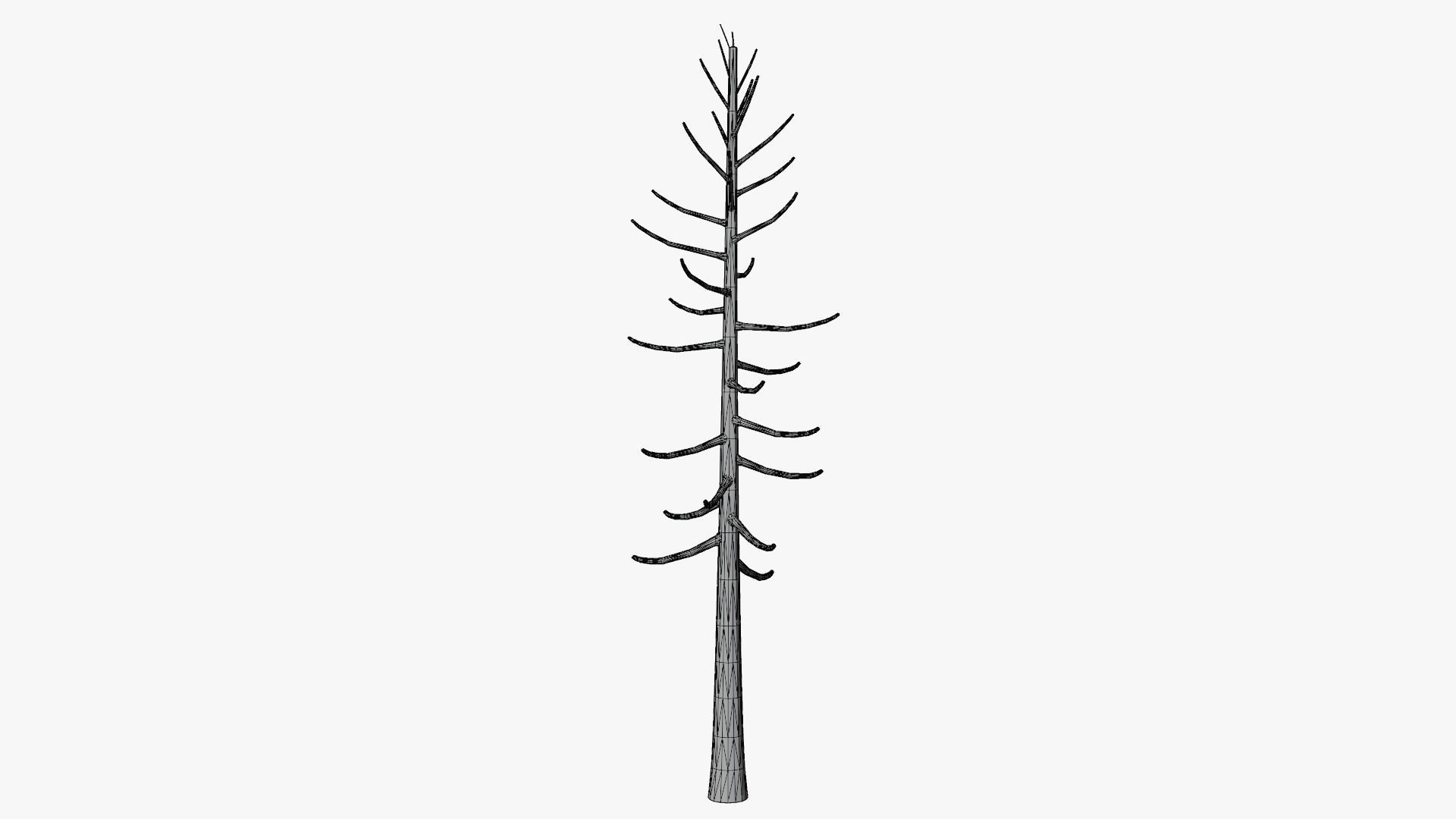 Lowpoly Dead Pine v2 Low-poly 3D model_9