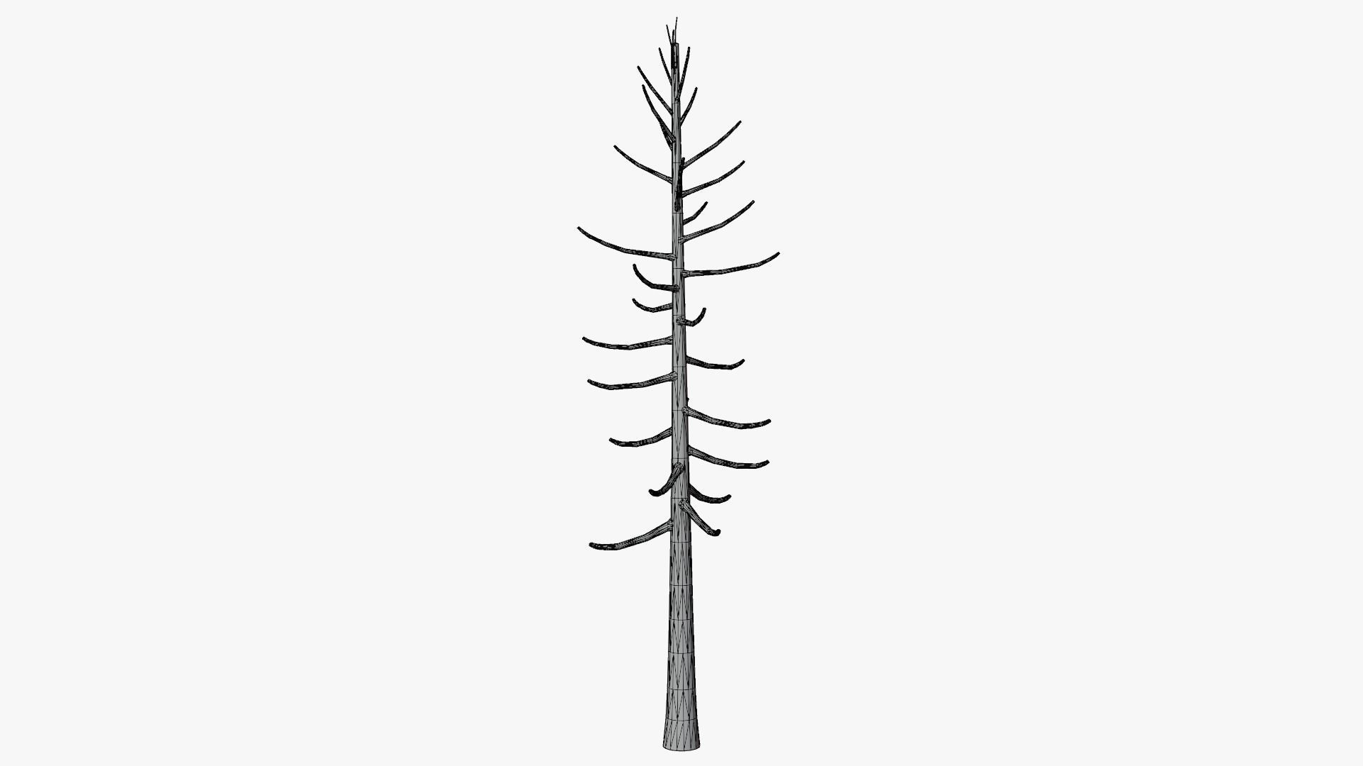 Lowpoly Dead Pine v2 Low-poly 3D model_11