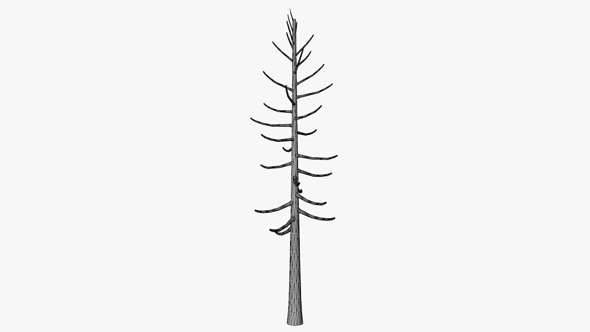 Lowpoly Dead Pine v2 Low-poly 3D model_10