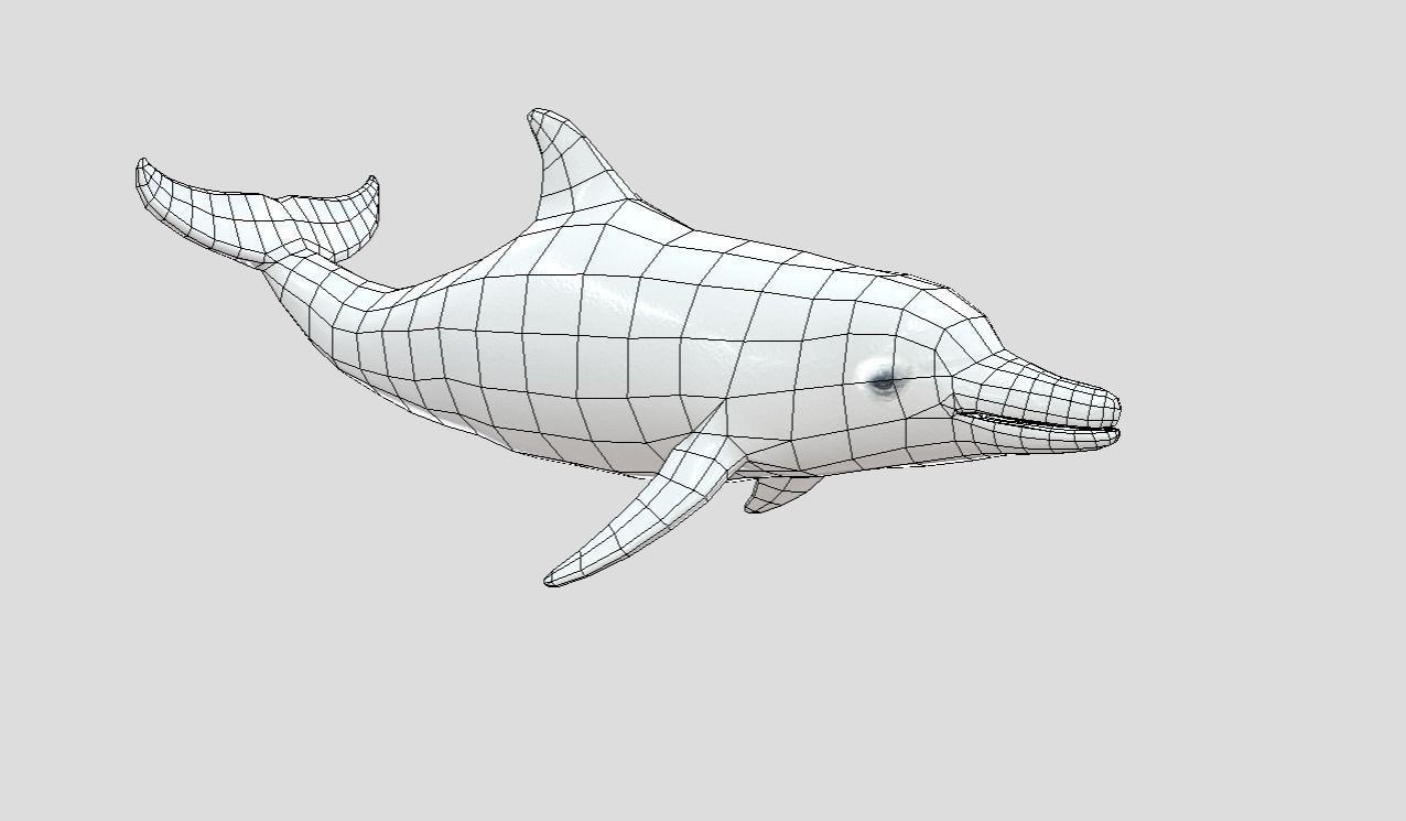 Dolphin Realistic Animated Low-poly 3D model_3