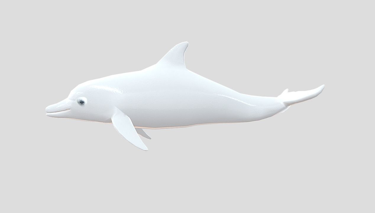 Dolphin Realistic Animated Low-poly 3D model_6