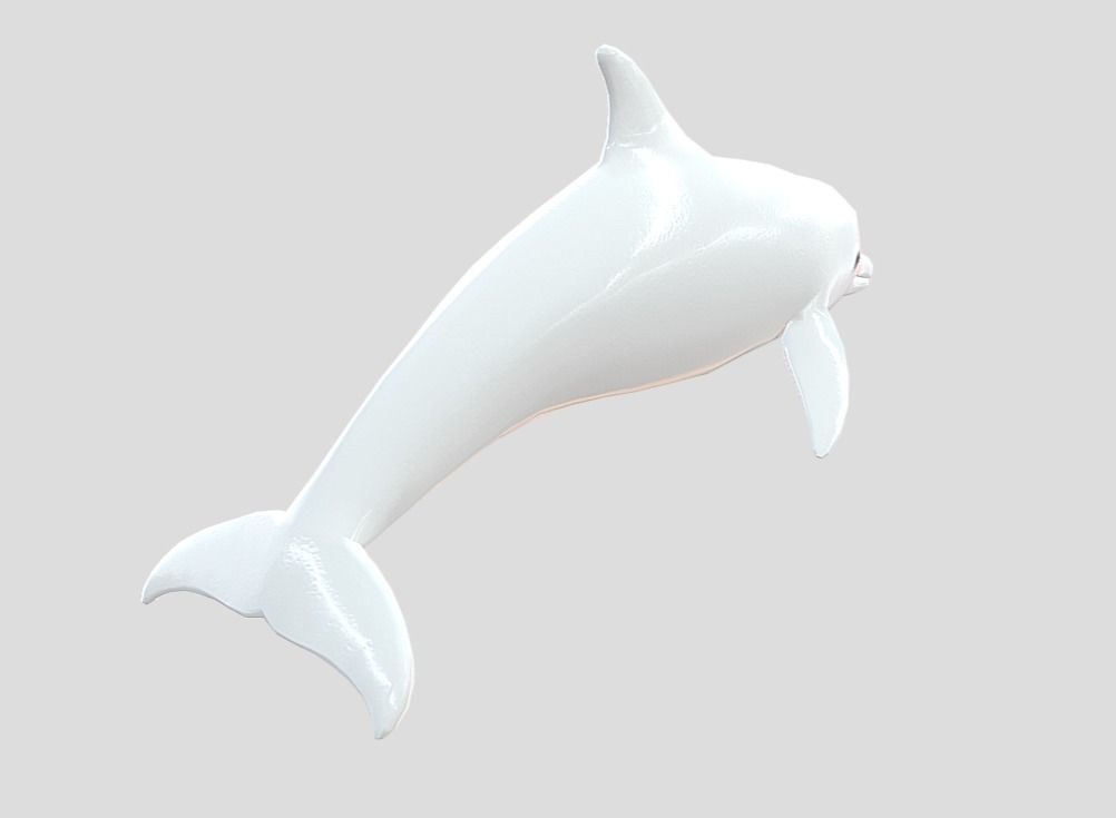 Dolphin Realistic Animated Low-poly 3D model_7