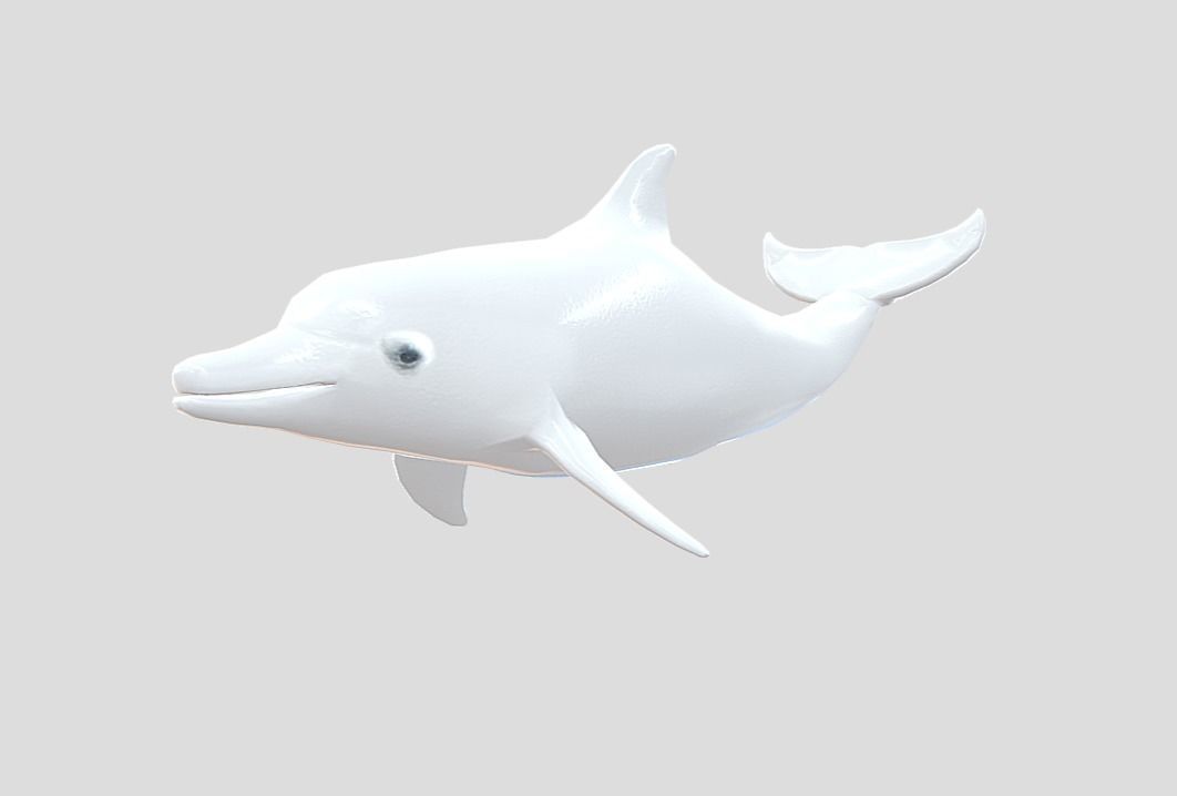 Dolphin Realistic Animated Low-poly 3D model_9