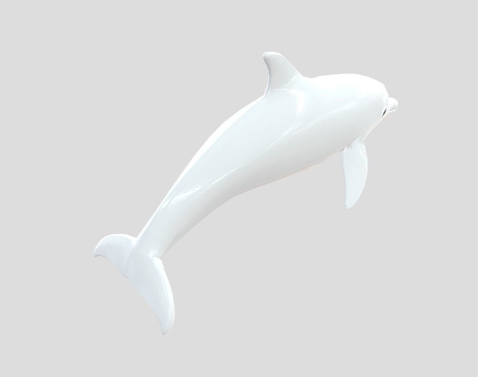 Dolphin Realistic Animated Low-poly 3D model_4
