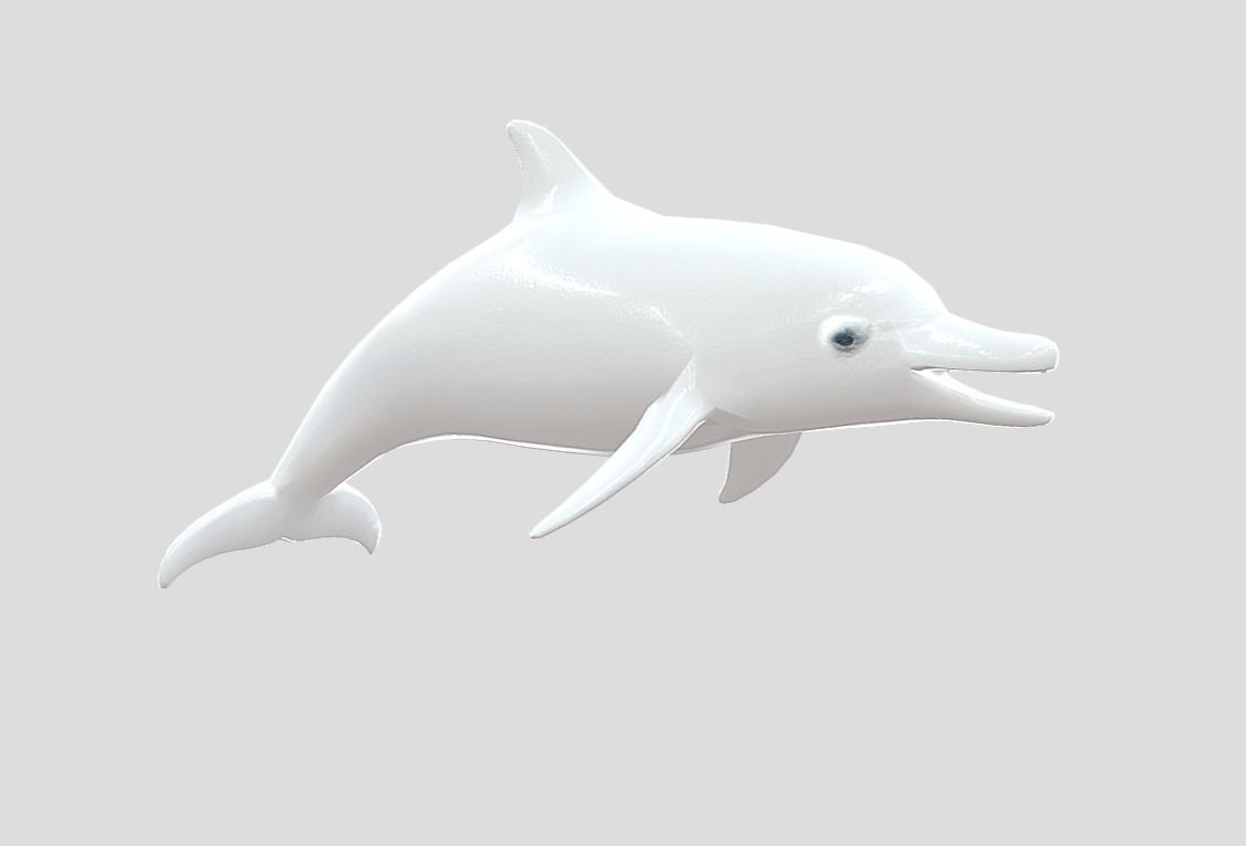 Dolphin Realistic Animated Low-poly 3D model_5