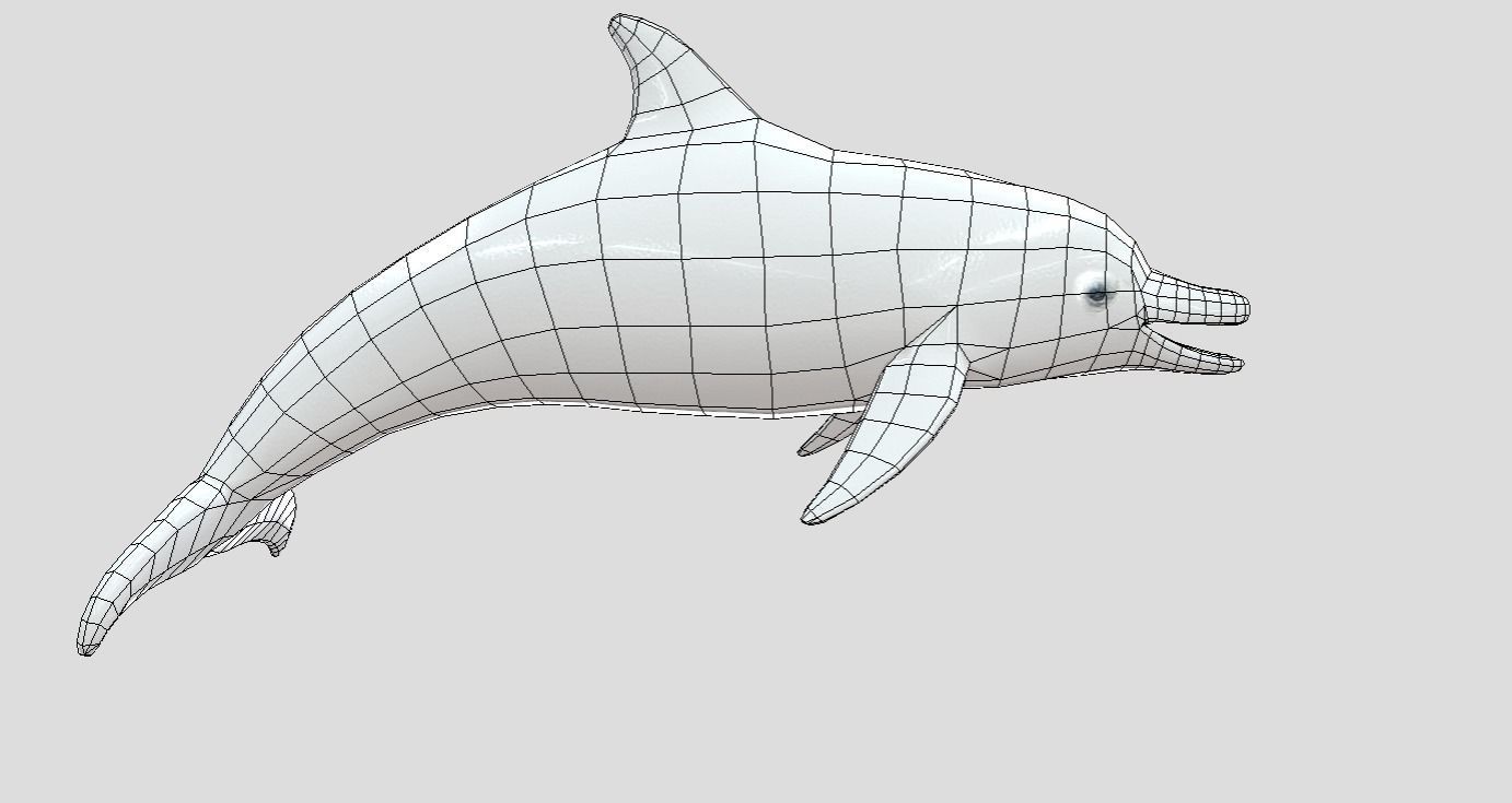 Dolphin Realistic Animated Low-poly 3D model_2