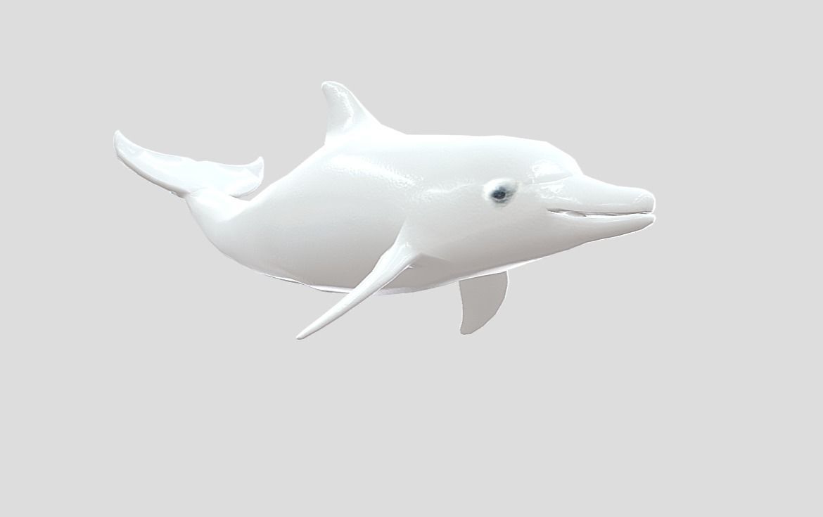 Dolphin Realistic Animated Low-poly 3D model_8