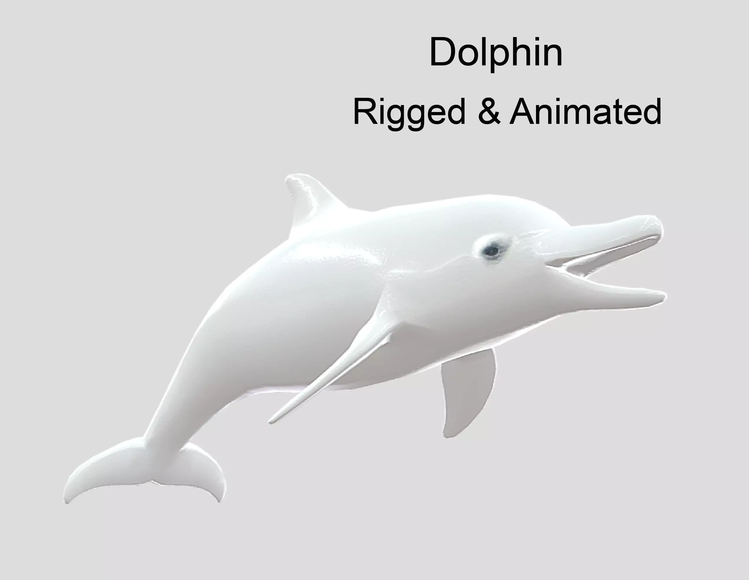 Dolphin Realistic Animated Low-poly 3D model_0