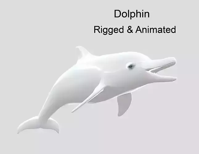 Dolphin Realistic Animated Low-poly 3D model