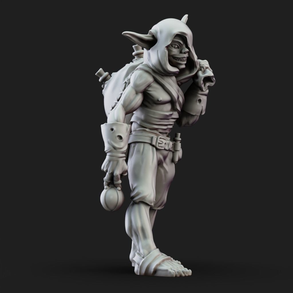Potion Thief - 3D Printable TTRPG - PRESUPPORTED - 32mm Scale 3D print model_6