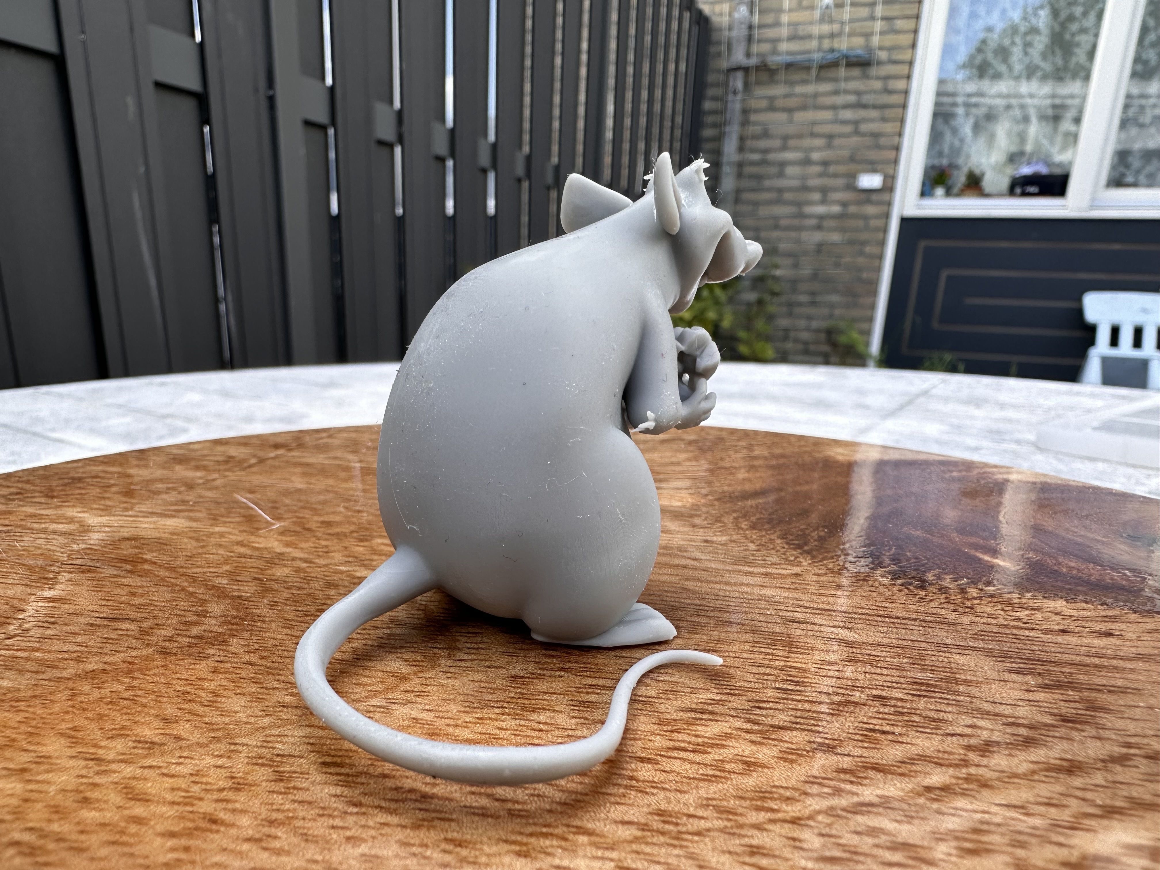 Rat 3D print model 3D print model_3